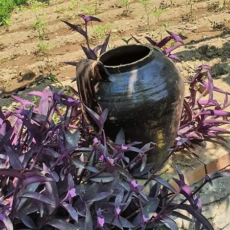 Casa de Férias Casa Al Mare Capri